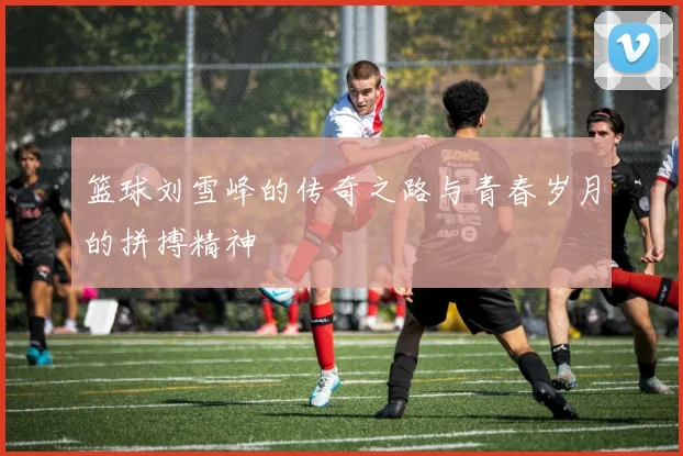 篮球刘雪峰的传奇之路与青春岁月的拼搏精神