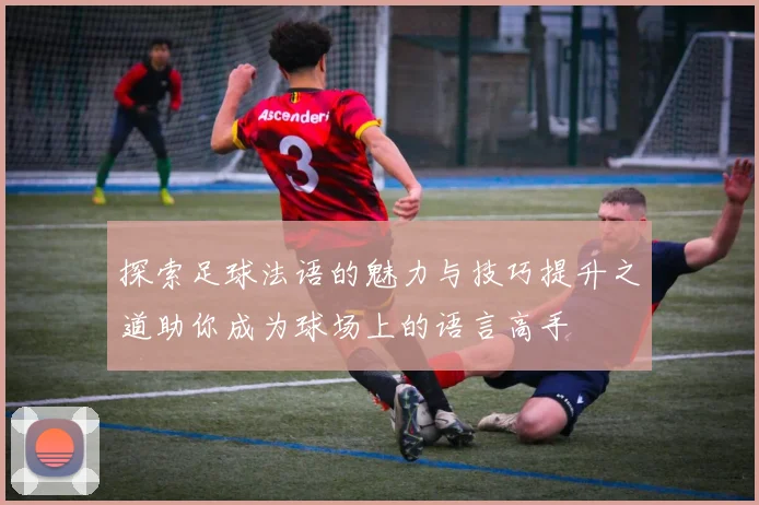 探索足球法语的魅力与技巧提升之道助你成为球场上的语言高手