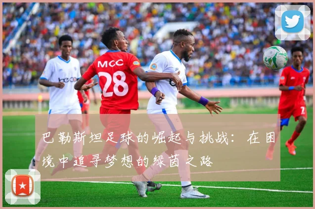 巴勒斯坦足球的崛起与挑战：在困境中追寻梦想的绿茵之路