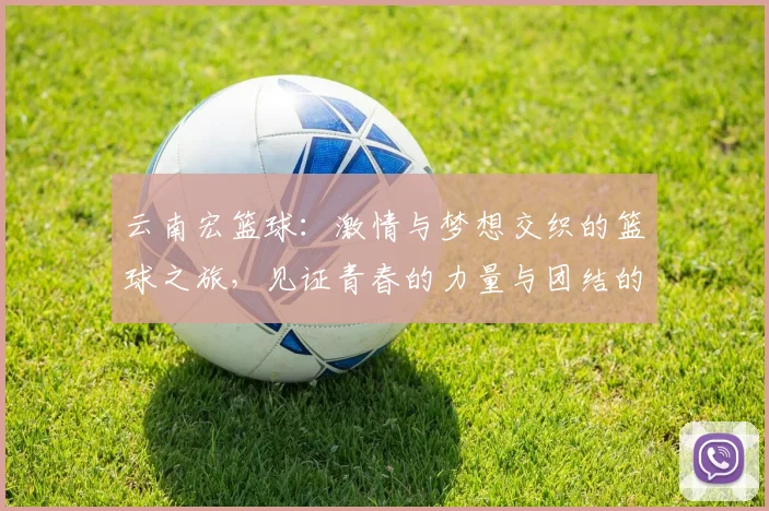 云南宏篮球：激情与梦想交织的篮球之旅，见证青春的力量与团结的精神