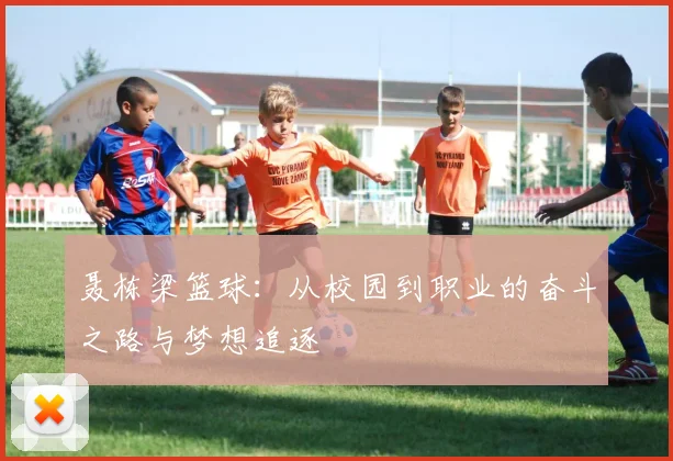 聂栋梁篮球：从校园到职业的奋斗之路与梦想追逐